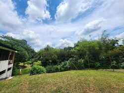 Windsor Park (D20), Detached #485214711